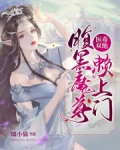 医毒双绝：腹黑魔尊赖上门