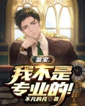鉴宝,我不是专业的!