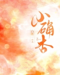 小确杏婚恋