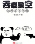 吞噬星空:开局签到帝经 一包薯条TXT