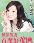 暖心甜妻：首席好难缠