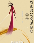 苦境:原来我是反派卧底