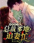 戏精萌宝总裁爹地追妻忙