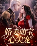 娇妻萌宝心尖宠