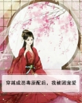 穿越成恶毒原配后,我被团宠爱