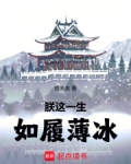 朕这一生,如履薄冰