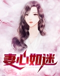妻心如迷txt