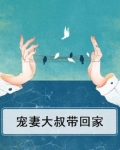 宠妻大叔带回家小说