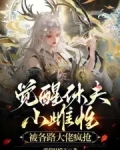 觉醒体质的小说