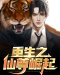 重生之仙尊逆袭