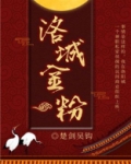 洛城金粉小说讲的什么