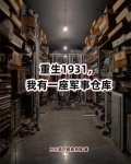 重生1931，我有一座军事仓库