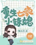 重生七零小辣媳