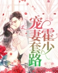 霍少宠妻指南