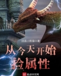 从今天开始捡属性