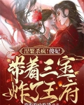 傻妃小说
