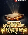 大学扫地三年,破解数学难题小说