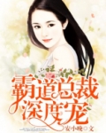 霸道总裁深度宠小说全文免费阅读全文个