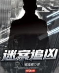 迷案追凶