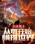 全民领主:从零开始横推世界 长歌自荐TXT