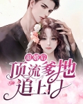 退婚后我火遍全星际