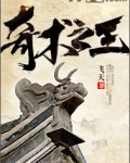 奇术之王百科