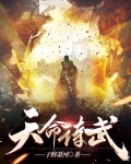 天命诗武