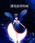 遇见晨昏的雨 小说