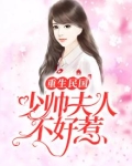 重生民国:少帅夫人不好惹颜心txt百度盘