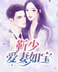 靳少强宠妻