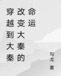 穿越到大秦改变大秦的命运小说