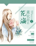 TFboys之薰衣草的花海