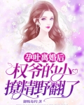 孕吐宠妻战爷晚安