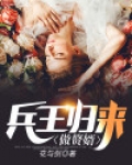 超级兵王赘婿