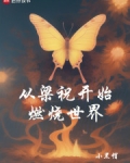 从梁祝开始燃烧世界免费观看