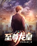 至尊龙皇关天逸