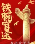 铁腕官途