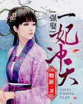 强娶:一妃冲天