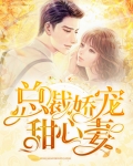 总裁娇宠甜心妻全文阅读
