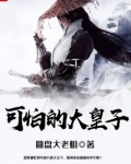 可怕的大皇子起点