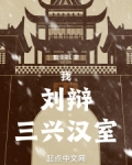 我,刘辩,三兴汉室