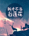 我的白莲花