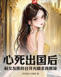 前女友回来抛弃现任的小说
