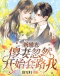 新婚夜，傻妻忽然开始套路我