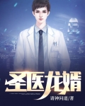 圣医龙婿免费阅读