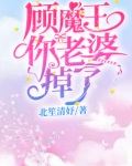 顾魔王你老婆掉了