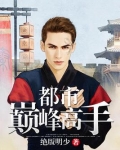 都市巅峰高手