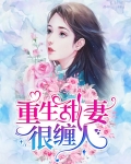 重生之甜妻归来