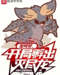 宝可梦开局孵出灭尽龙免费