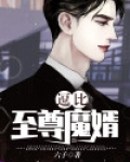 都市至尊魔婿